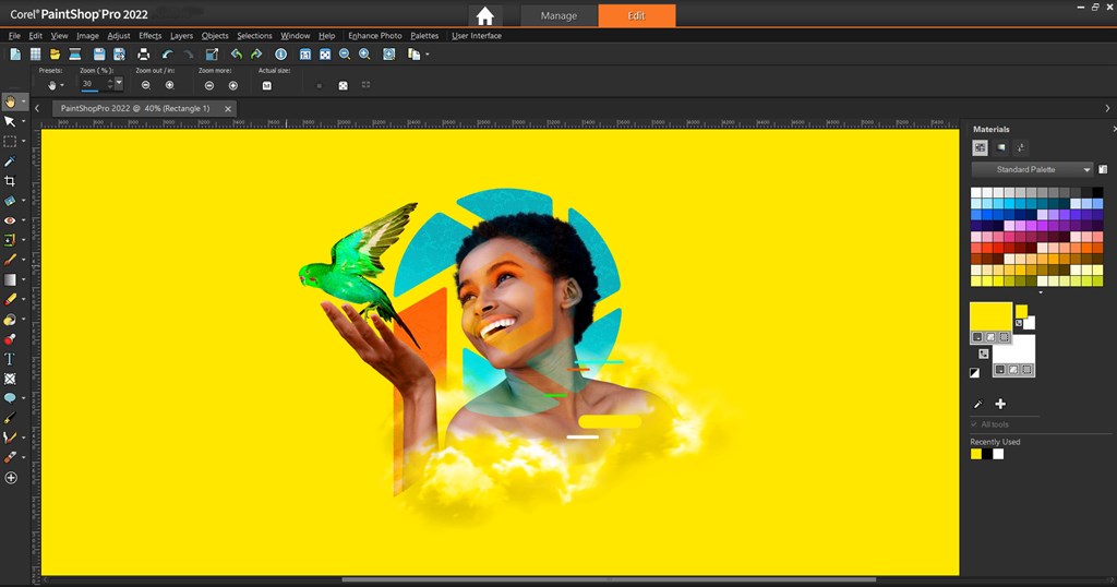 Corel PaintShop Pro Screenshot Image #2