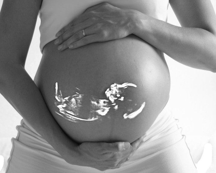 Bloom - Pregnancy & Moms Network