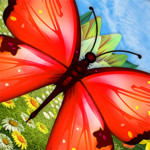 MagicalButterfly 1.0.0.0 for Windows Phone