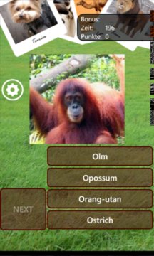 Animal Quiz Screenshot Image