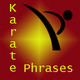 Karate Phrases Icon Image