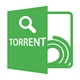 Torrent Search Icon Image
