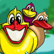 Angry Ducks Icon Image