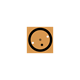 Circulet Icon Image