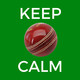 Voice of Cricket Icon Image