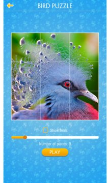 Bird Jigsaw Puzzle Screenshot Image