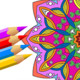 Recolor - Adult Coloring Book Icon Image