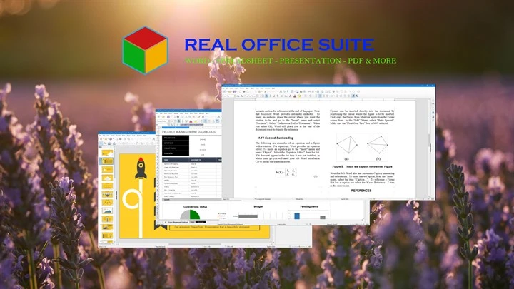 Real Office Suite Image