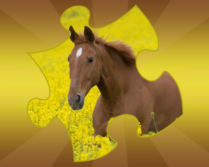 Horse Puzzles Image