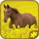 Horse Puzzles Icon Image