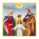 Daily Bible Proverbs Icon Image
