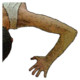 PushUp Counter Icon Image