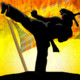 Ninja Karate Defence Icon Image