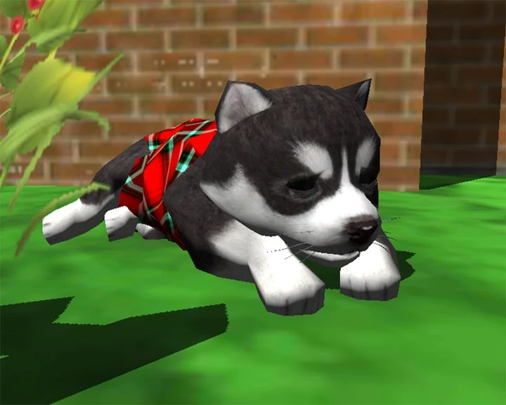 Cute Pocket Puppy 3D Image