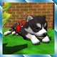 Cute Pocket Puppy 3D Icon Image