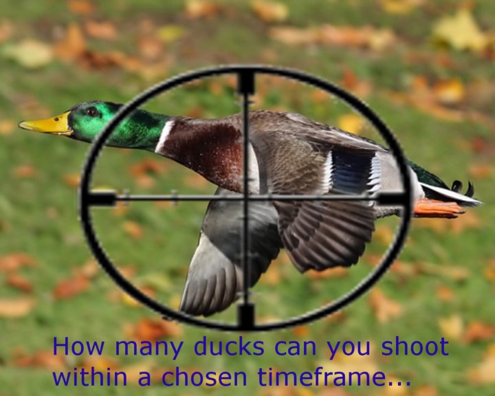 DuckShooter Image