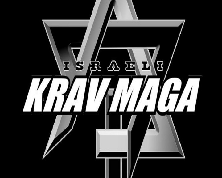 Learn Krav Maga Image