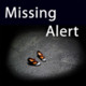 Missing Alert Icon Image
