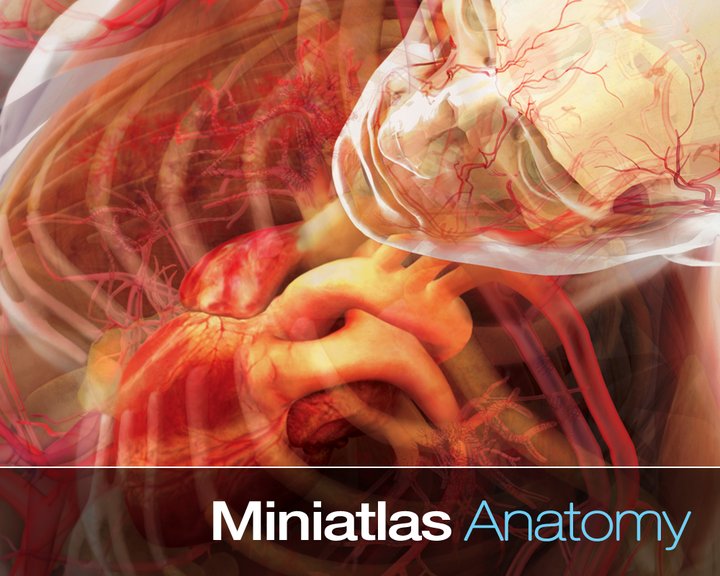 Miniatlas Anatomy