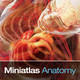Miniatlas Anatomy Icon Image