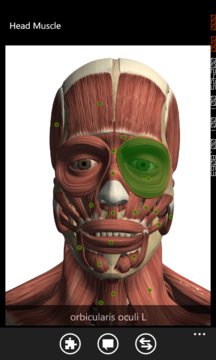 Visual Anatomy Screenshot Image