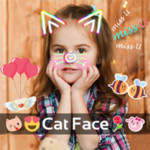Cat Face Photo Collages