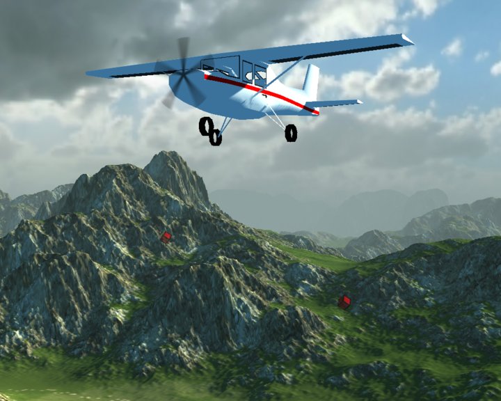 Cessna Flight Image