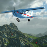 Cessna Flight