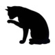 Grumpy Cat Icon Image