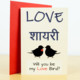 Love Shayari in Hindi Icon Image