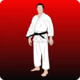 Learn Martial Arts Icon Image