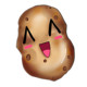 Potato Fall Icon Image
