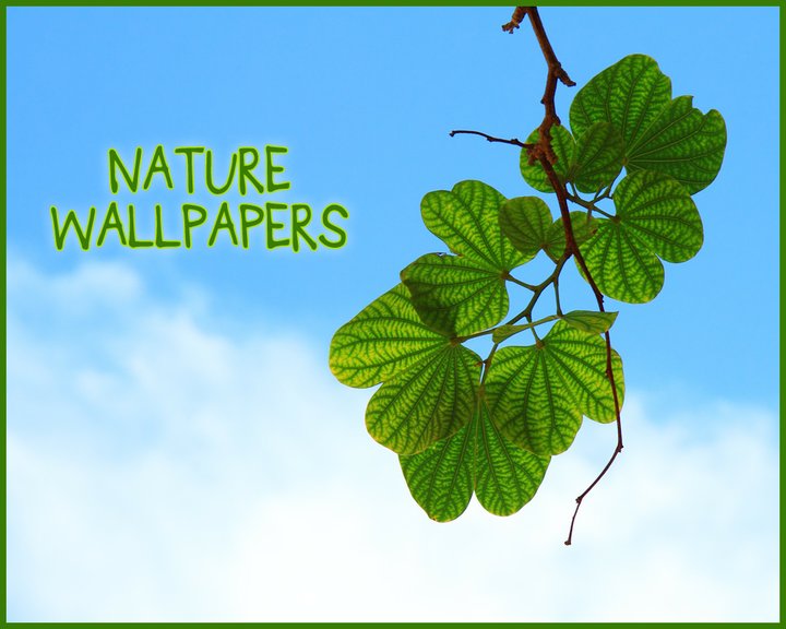 Nature Wallpapers HD Image