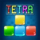 Tetris Master Icon Image