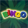 Bingo Icon Image
