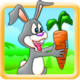 Bunny Runn Icon Image