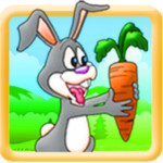 Bunny Runn Image