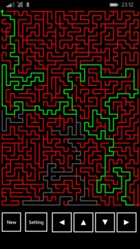 Quantum Maze