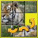 Kids Animal Slide Puzzle 15 Mystic squares game Icon Image