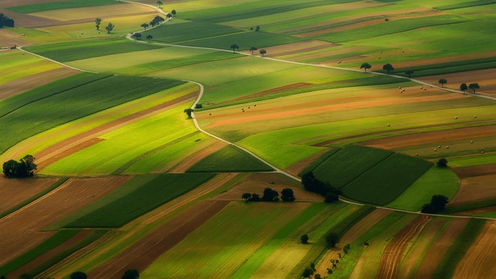 Aerial Farmland Premium Image