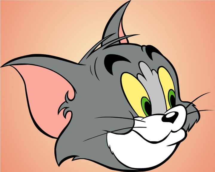 Tom VS Jerry