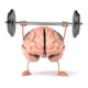 Brain-Training Icon Image
