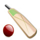 Cricket Today Icon Image