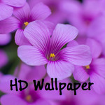 Flower LockScreen Image