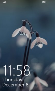 Flower LockScreen Screenshot Image