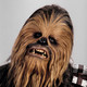 Wookiee Box Icon Image