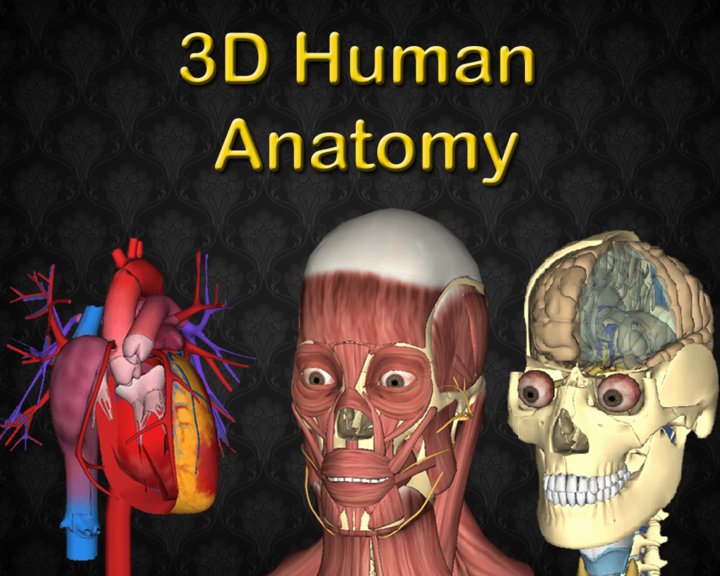 3D Anatomy Image