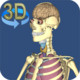 3D Anatomy Icon Image
