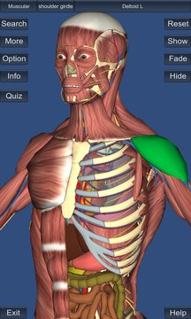 3D Anatomy Screenshot Image