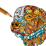 Dog Coloring Pages 2017.504.837.0 AppXBundle